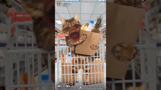 Nyan cat in a run away shopping kart 😮 смотреть онлайн