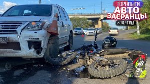 Зачем они так? Торопыги и Водятлы