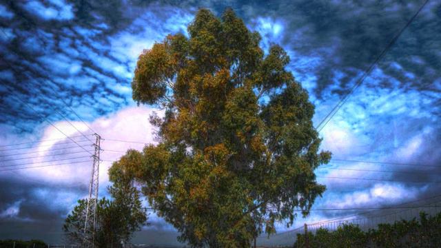 Nuestros Campos - Jose Peral - Fotografia De José Antonio Márquez Gallardo