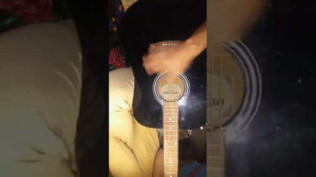 омузиши гитара туёна