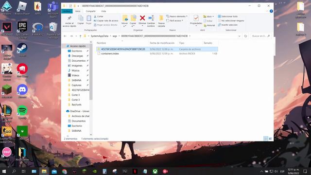Hollow Knight - COMO pasar tu progreso desde el juego de Xbox Games a la version de Steam. смотреть онлайн