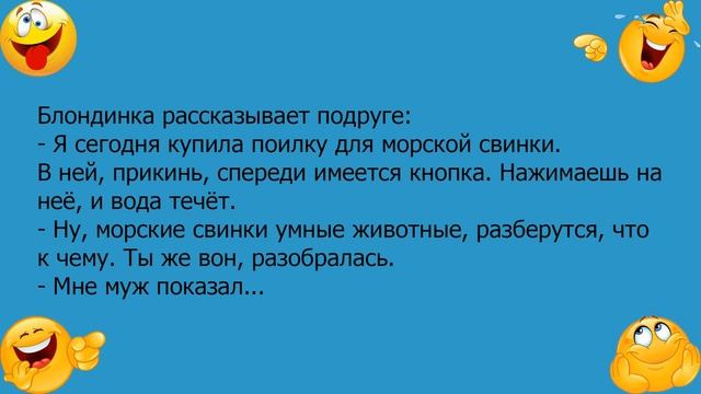Анекдот про блондинку и поилку для морской свинки