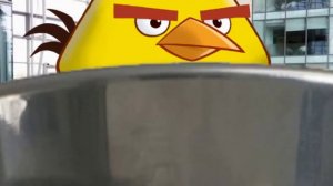 Angry birds toons chuck time (2020 version)
