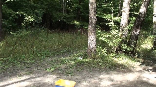 Natolis ice bucket challenge\ Натолис вызов ледяного ведра смотреть онлайн