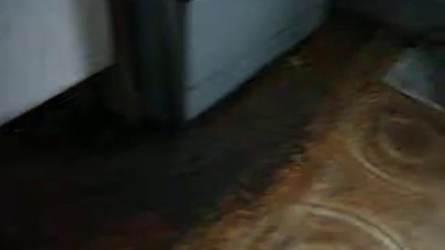 2 ОТРАВЛЕННЫЕ МЫШИ НА МОЕЙ КУХНЕ ЛЕТОМ НА 2 ОМ ЭТАЖЕ ПЯТИЭТАЖКИ смотреть онлайн