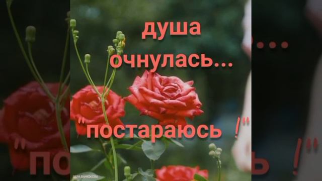 1000083815.mp4Душа сказала : "Я устала..." смотреть онлайн
