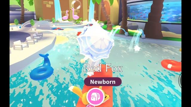 ИГРАЮ В РОБЛОКС АДОПТ МИ СПУСТЯ ГОД / Обновления и питомцы Roblox Adopt Me #roblox #adoptme смотреть онлайн