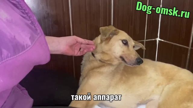 Нужен тонометр. смотреть онлайн