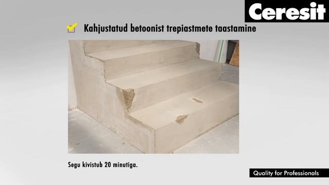 Ceresit CX 20 Kasutusjuhised