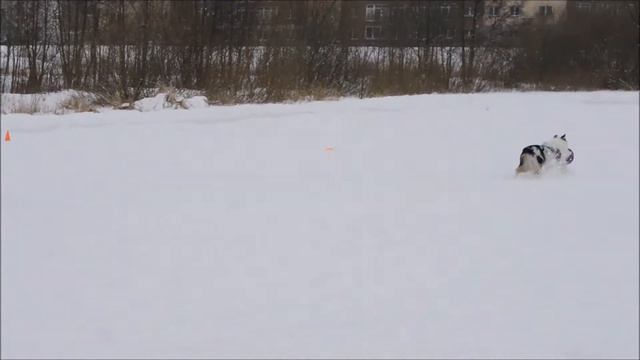 "Вебстайл 2018" Алексей и Барни смотреть онлайн