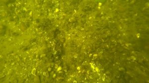 Подводная охота на раков. Ловля раков. Как ловить раков под водой