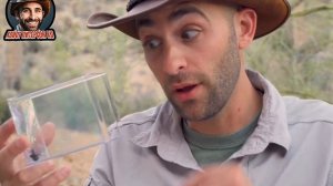 ❗ПАУК ЧЁРНАЯ ВДОВА ❗ Укусит ли человека?...