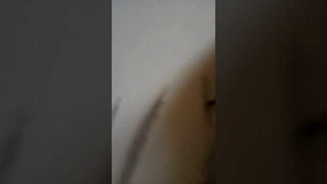 Как нарисовать ветку ели? смотреть онлайн