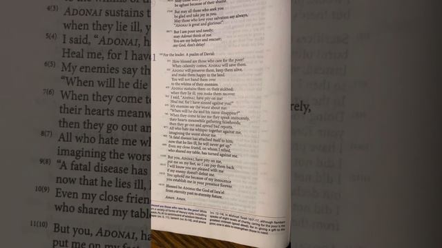 Psalms (Tehillim) 41 | Tanakh/Old Testament | Audio Bible | CJB | Complete Jewish Bible смотреть онлайн