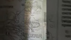 Прадо 120  Мотор 1GR FE метки