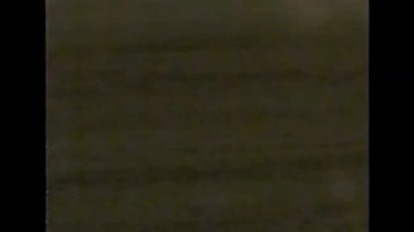 the backrooms  sotrudnik sinc help