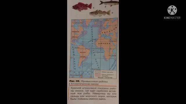 14.АТЛАНТИЧЕСКИЙ ОКЕАН-САМЫЙ МОЛОДОЙ И ОСВОЕННЫЙ/ГЕОГРАФИЯ-СТАНОВЕДЕНИЕ 7 КЛ/О.А.КЛИМАНОВА смотреть онлайн