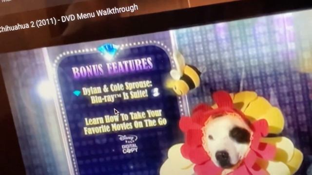 Beverly hills chihuahua 2 dvd menu kiana johnson смотреть онлайн