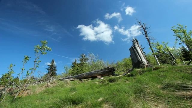 светящиеся наушники купить в Воронеже смотреть онлайн