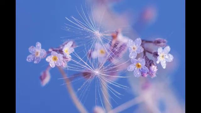 КТО ВИНОВАТ В ПАНДЕМИИ? КРАЙОН смотреть онлайн