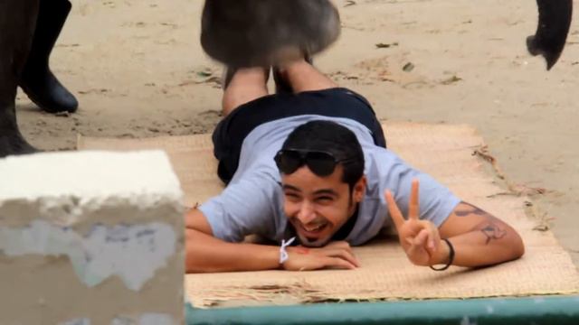 На что способны слоны смотреть онлайн