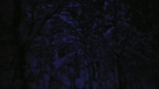 Что происходит зимой в лесу, ночью. Тёмный лес - перевернутый крест смотреть онлайн