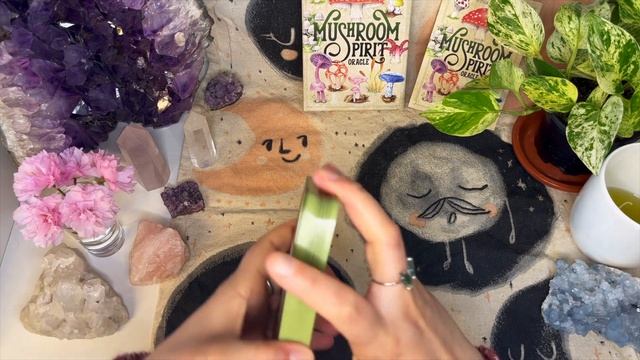 ?✨?♀️Mushroom Spirit Oracle Unboxing & Flip Through - Dive into the magical world of mushrooms!?✨ смотреть онлайн