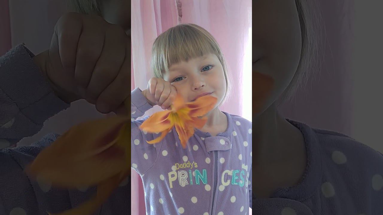  смотреть онлайн