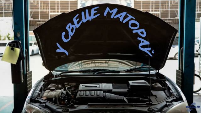 Какой цвет автомобиля самый популярный? смотреть онлайн