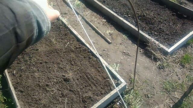 Томаты в открытом грунте.Очень важная подготовка грядки к посадке смотреть онлайн