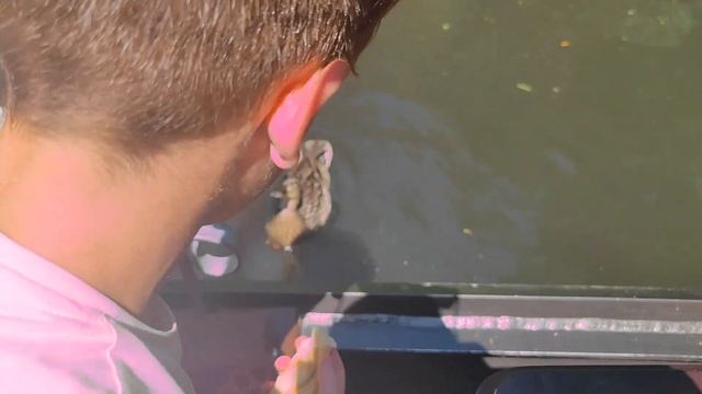 Шпревальд !Уникальный Речной Заповедник! Германия   The Unique River Reserve Spreewald. Germany