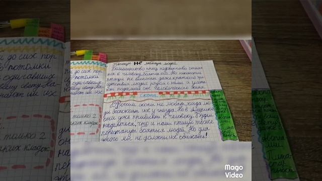 Рассказ о птицах. Птицы не любящие людей. 2 часть. смотреть онлайн