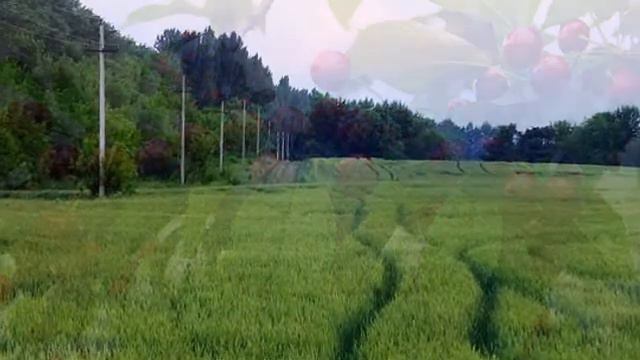 ФОТОработы НИКОЛАЯ КЛИМЕНКО смотреть онлайн