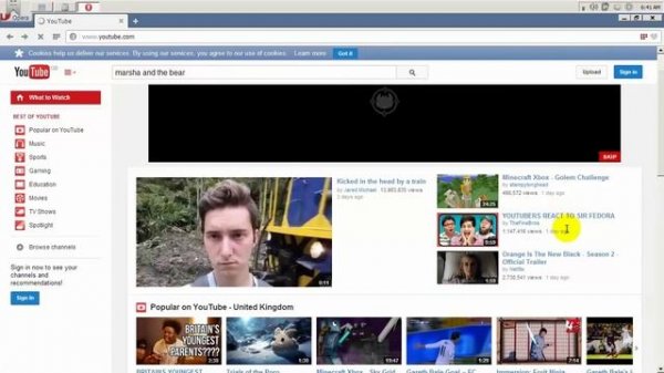 installing Flash Plugin on portable browser, Opera Portable to watch videos in YouTube