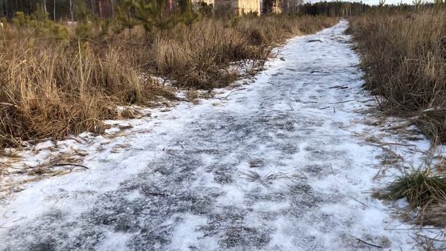 Пряник-Санта. Веселые костюмчики для вестиков. Новогоднее настроение. Балашиха. смотреть онлайн