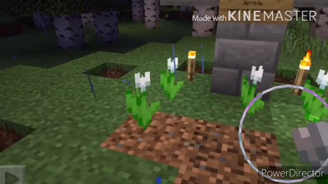 Где мои видео? смотреть онлайн