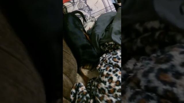 Про Армана. Диваный бой смотреть онлайн