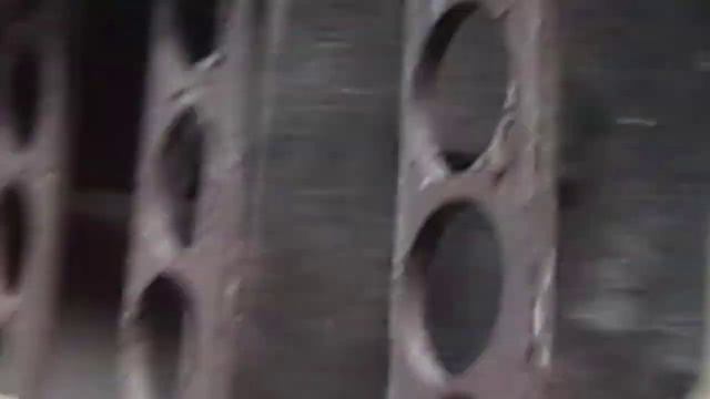 Голуби дубовские. Гон смотреть онлайн