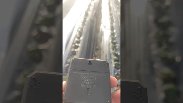 Температура, влажность в теплице. Информация всегда у меня в смартфоне. смотреть онлайн