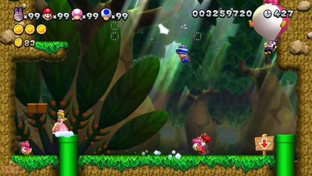 New Super Mario Bros. U Deluxe – 4 Players + 4 Yoshi Walkthrough Co-Op #9 смотреть онлайн