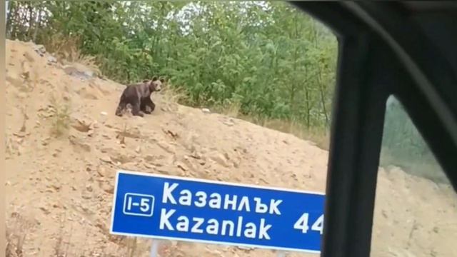 МЕЧКА НА ПЪТЯ В БЛИЗОСТ ДО КАЗАНЛЪК а.С.м смотреть онлайн