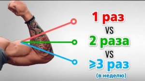 Как часто тренировать мышцы.Оптимальная частота тренировок в неделю.