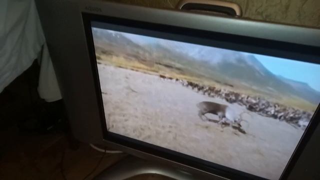 Тест Работы DVD плеера смотреть онлайн