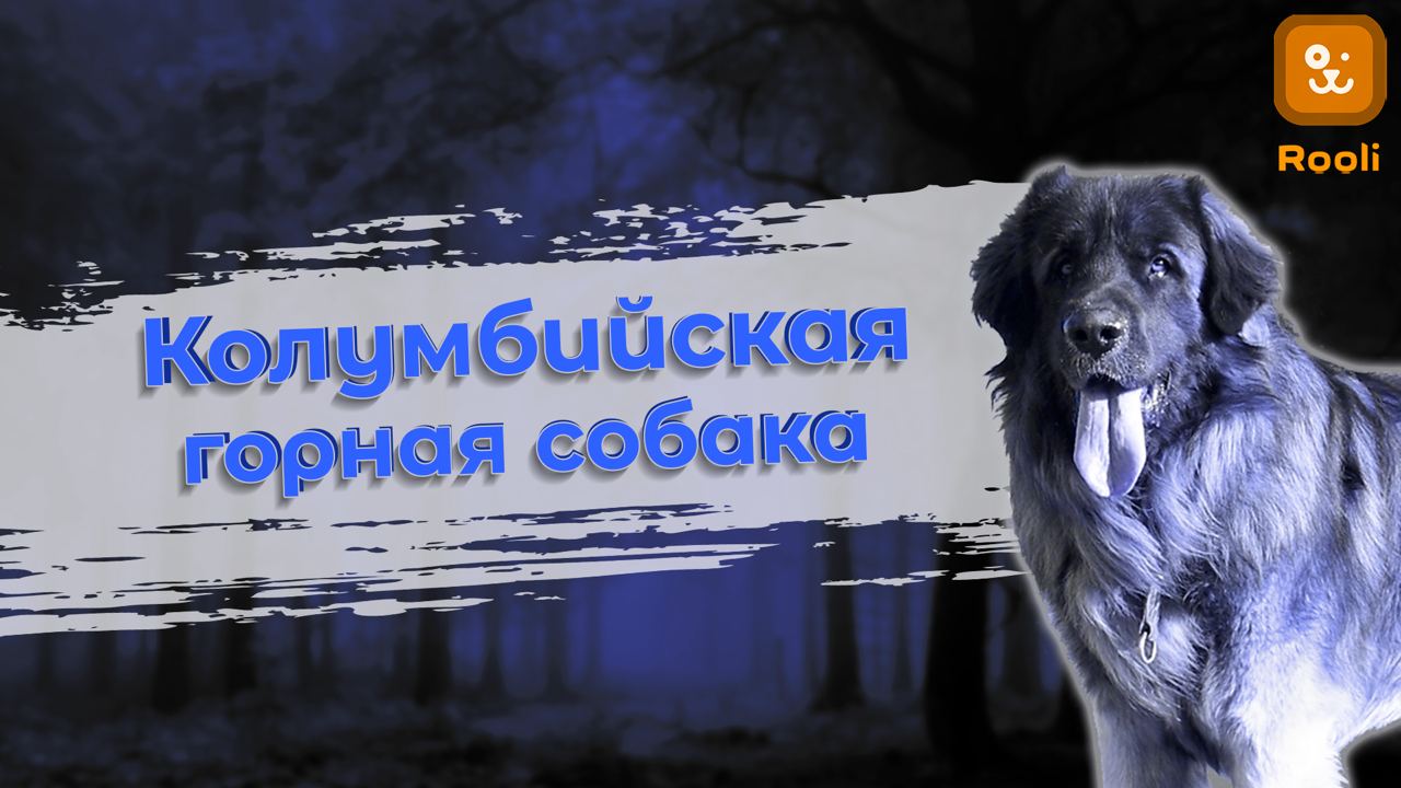 Колумбийская Горная: Очарование и Стойкость Стражей Горных Вершин смотреть онлайн