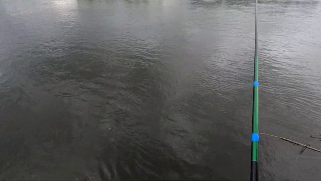 Рыбалка на Оке на удочку! Ловим ельца на опарыша с приманкой. смотреть онлайн