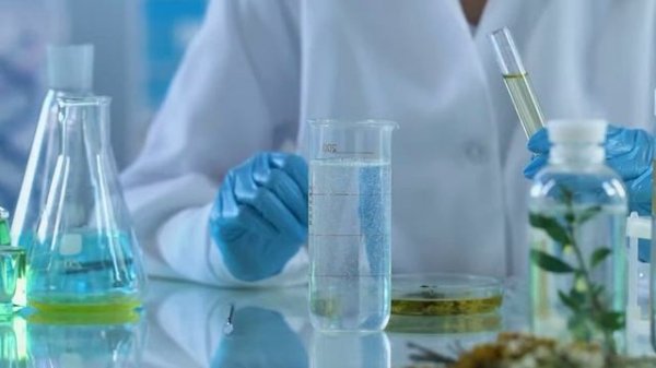 Птица 2027 Получила Вселенную? Кто такие Лофаминусы? Opium Bird - Ответы на все Вопросы.