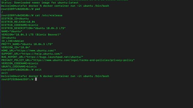 Docker Demos : Getting Started and the Docker Layered File System смотреть онлайн