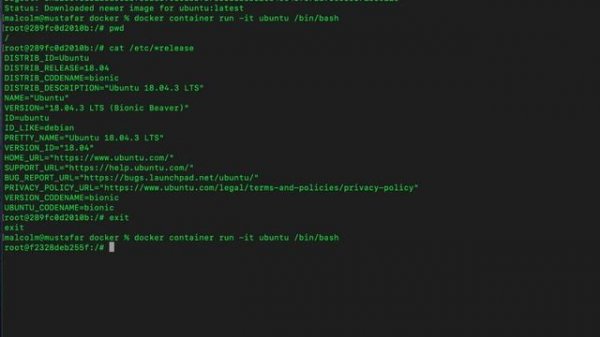 Docker Demos : Getting Started and the Docker Layered File System