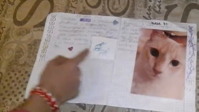 МОЙ лд #1 смотреть онлайн