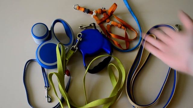 Шкаф для хранения вещей моей собаки смотреть онлайн